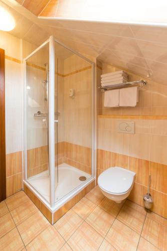 a bathroom with a shower and a toilet at Hotel Admiral in Lipno nad Vltavou