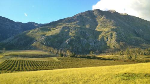 a mountain in front of a field with a mountain at Elianthe Guesthouse in Swellendam
