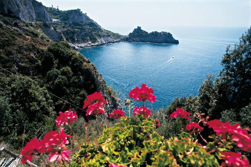 a view of the ocean from a hill with red flowers at SalernoPrestige rooms in Salerno