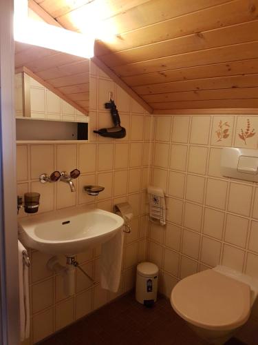 ein Bad mit einem Waschbecken und einem WC in der Unterkunft Hotel Garni Alpenruh in Lenk im Simmental