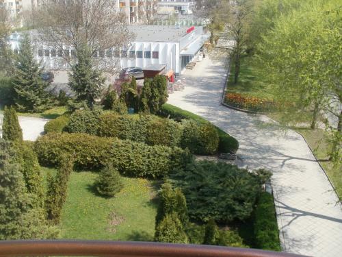 Taman di luar Apartman Ottó