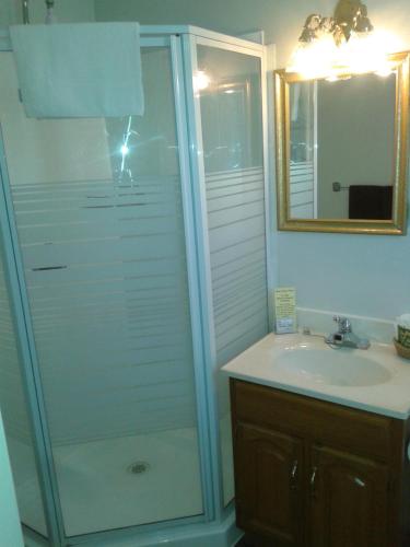 Ванна кімната в Capricorn Motel Royale 1000 Islands