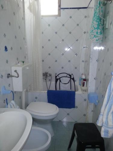 カヴァ・ダリーガにあるUn Giardino Di Pomelie Sul Mareのバスルーム(白いトイレ、シンク付)