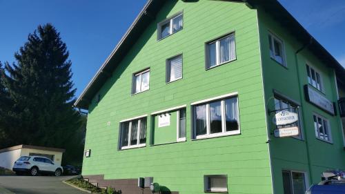 a green house with white windows on a parking lot at Hotel-Pension Dressel in Warmensteinach