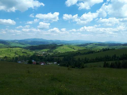 a view of a green valley from a hill at Dacha PODOBOVETS 127 in Podobovets