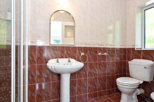 a bathroom with a sink and a toilet and a mirror at Boutique Guest House in Galway