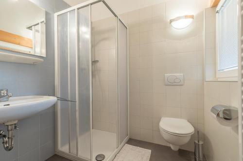 La salle de bains est pourvue d'une douche, de toilettes et d'un lavabo. dans l'établissement Appartements Haus Pichler, à Eggen