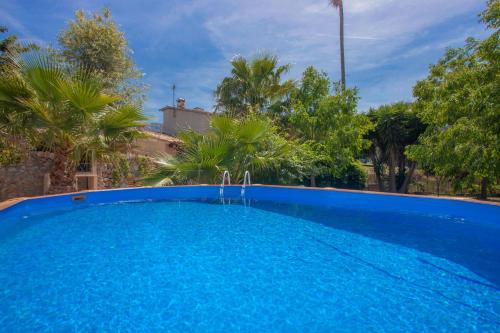 a large blue swimming pool in a yard with trees at Can Sucre in Sóller