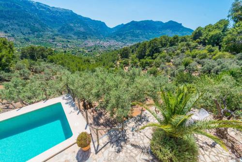 an aerial view of a swimming pool and trees at Son Bou in Sóller
