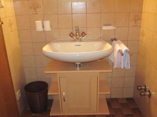 ein Badezimmer mit einem weißen Waschbecken und einer Dusche in der Unterkunft Apartmenthaus Rupitsch in Leutasch