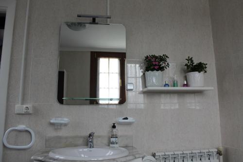 a bathroom with a sink and a mirror at Apartamento Rural Oizalde in Elizondo