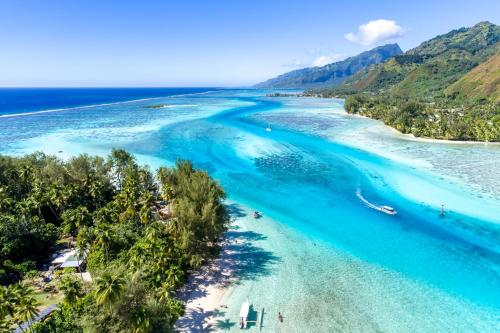 an aerial view of a beach with blue water at Robinson's Cove Villas - Deluxe Cook Villa in Papetoai