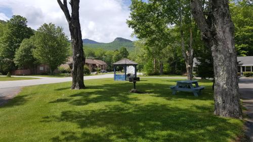 a park with a blue picnic table and trees at Franconia Notch Motel in Lincoln