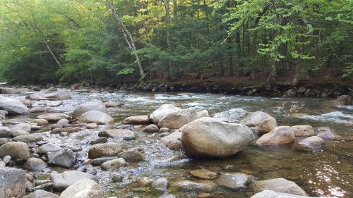 a river with rocks and trees in the background at Franconia Notch Motel in Lincoln