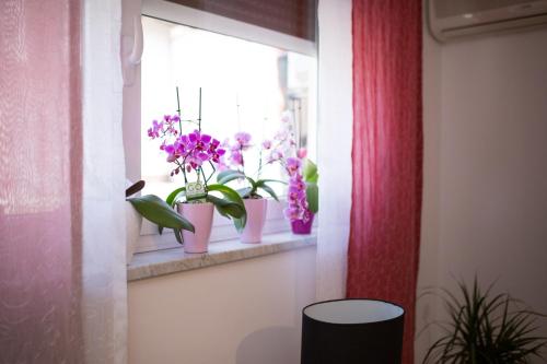 Gallery image of Oasis of Peace and Relaxation near Opatija in Matulji