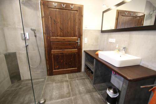 a bathroom with a sink and a shower with a mirror at Grüne Farm - FeWo Ost in Burg Kauper