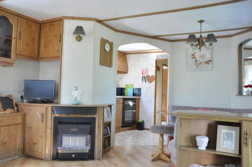 a kitchen with a living room with a fireplace at Hills View Accommadation in Borrisoleigh