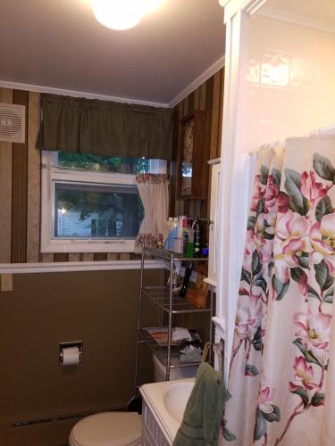 a bathroom with a sink and a toilet and a window at Kountry Living Bed and Breakfast in Oneonta