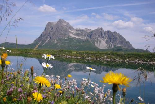 a mountain reflecting in a body of water with flowers at Alpin Chalet Schröcken in Schröcken