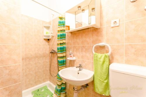 Kúpeľňa v ubytovaní Apartments Nives Suhi Potok