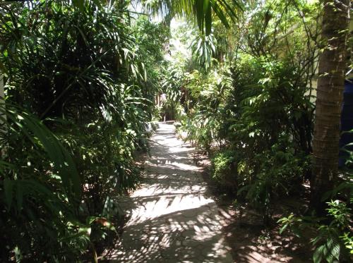 a path through a jungle with palm trees at The CHESS Samui in Chaweng