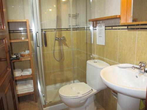 a bathroom with a shower and a toilet and a sink at Casa Rural El Jondrigu in Cangas de Onís