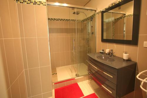 カネ・アン・ルシヨンにあるSuperbe Appartement Vue merのバスルーム(シャワー、シンク、鏡付)