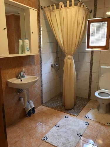 a bathroom with a shower with a sink and a toilet at Apartment near the Airport in Sarajevo
