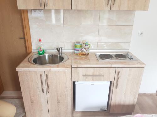 a small kitchen with a sink and a stove at Guest House Konak kod Danke in Trebinje