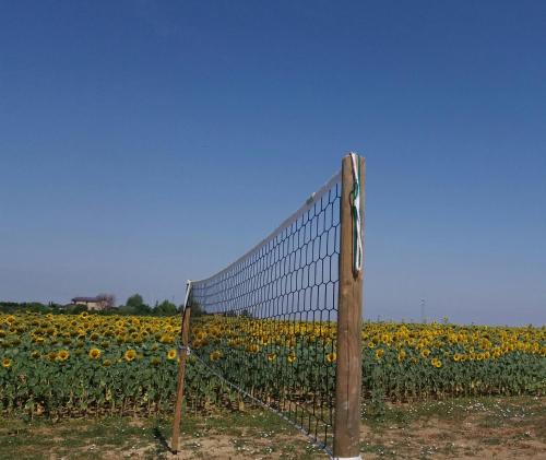 a fence in front of a field of sunflowers at La Sosta di Braccio in Macchie