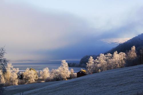 a snow covered hill with trees and a house on it at Sygard Storrvik in Storrvik
