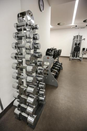 Fitness centrum a/nebo fitness zařízení v ubytování Hotel Stara Planina