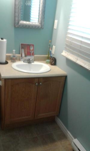 ein Bad mit einem Waschbecken und einem Spiegel in der Unterkunft Cozy pet friendly Home in St. John's
