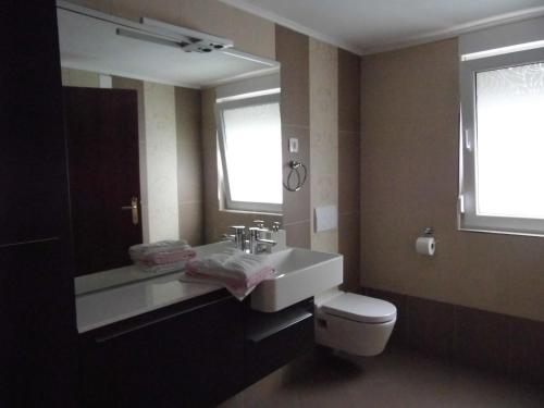 a bathroom with a sink and a toilet and a mirror at B&B Eva in Ičići