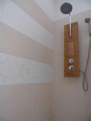 a bathroom with a shower with a shower head at B&B Eva in Ičići