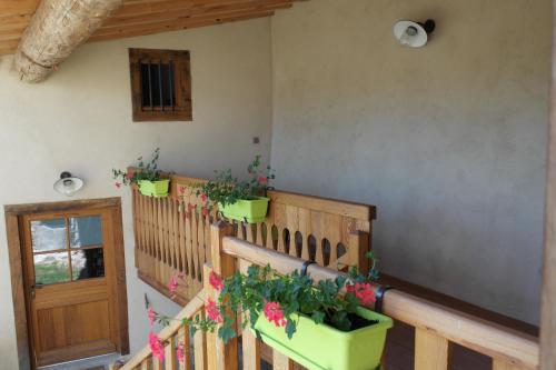 a porch with potted plants on a house at La Grunonde in Palogneux