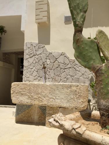 a cactus sitting next to a stone wall at Borgo Sofia Bed and Breakfast in Mesagne