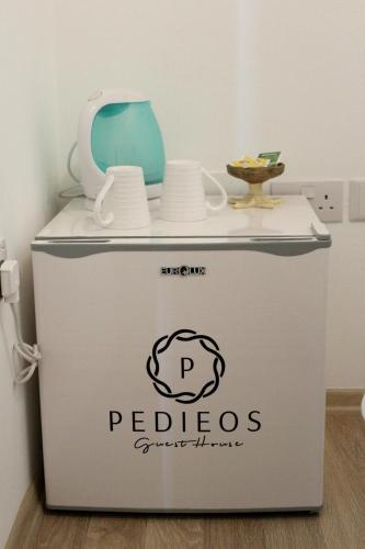 a cooler with a blue vase on top of it at Pedieos Guest House in North Nicosia