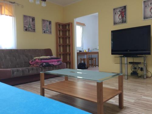a living room with a couch and a flat screen tv at Studia Pasieka in Opole