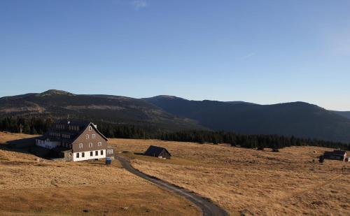 a house on a hill in a field at Moravská Bouda in Špindlerův Mlýn