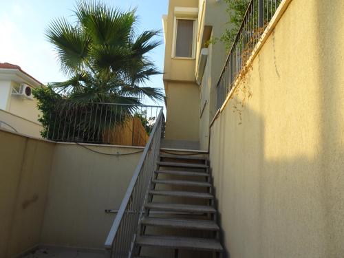 a staircase leading up to a building with a palm tree at Magnificent studio in Zichron yaakov sea view and garden in Zikhron Ya‘aqov