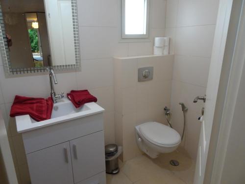 ein Badezimmer mit einem WC, einem Waschbecken und einem Spiegel in der Unterkunft Magnificent studio in Zichron yaakov sea view and garden in Zichron Ja’akow