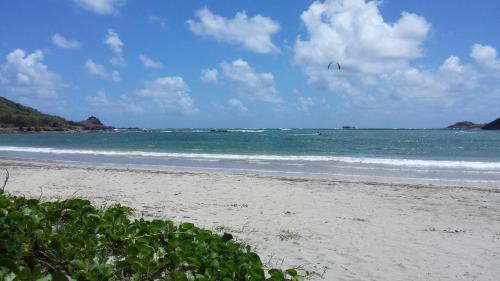 a person is flying a kite on the beach at Seawind Cottage Authentic St.Lucian Accommodation near Plantation Beach in Gros Islet