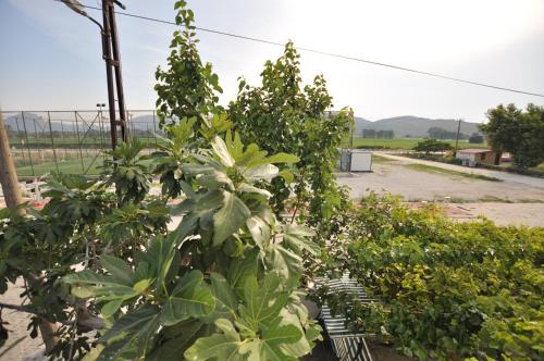 a row of plants in a garden at Elite Apart Pansiyon in Gokceada Town