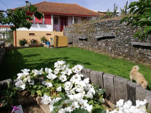 een kat op een hek naast een paar bloemen bij Casa da Vinha Grande in Poiares