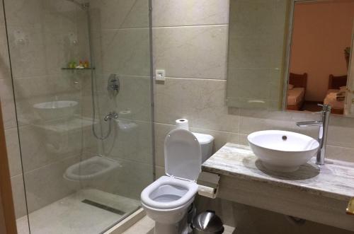 a bathroom with a shower and a toilet and a sink at Lyabi House Hotel in Bukhara