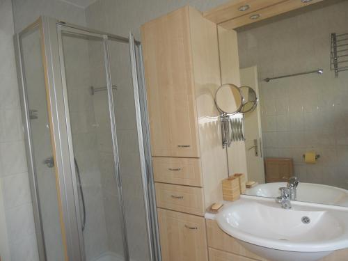 a bathroom with a sink and a shower at Haus Trappiste FOR FAMILIES ONLY NON SMOKING !! AIRCO ! in Donnerskirchen
