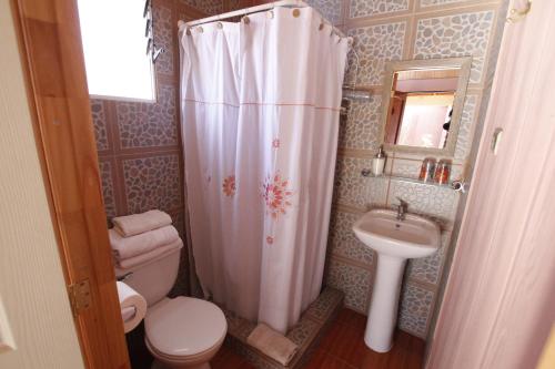 a bathroom with a shower and a toilet and a sink at Hostal Casa Turipite in San Pedro de Atacama