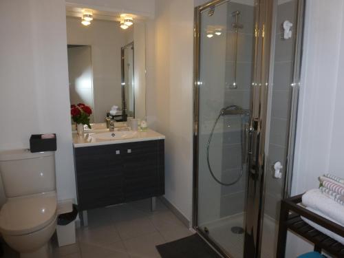 une salle de bain avec une douche, un lavabo et des toilettes dans l'établissement beau studio, à Nice