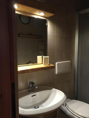 une salle de bain avec un lavabo et un miroir et des toilettes dans l'établissement Coeur de montagne, à Gignod